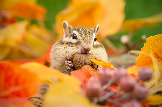 『品質の高さ』をモットーに